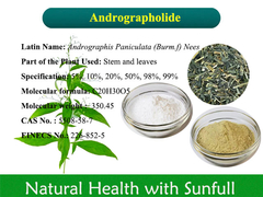Andrographis Paniculata Extract Andrographolide एंड्रोग्राफ्लाइड निकालें