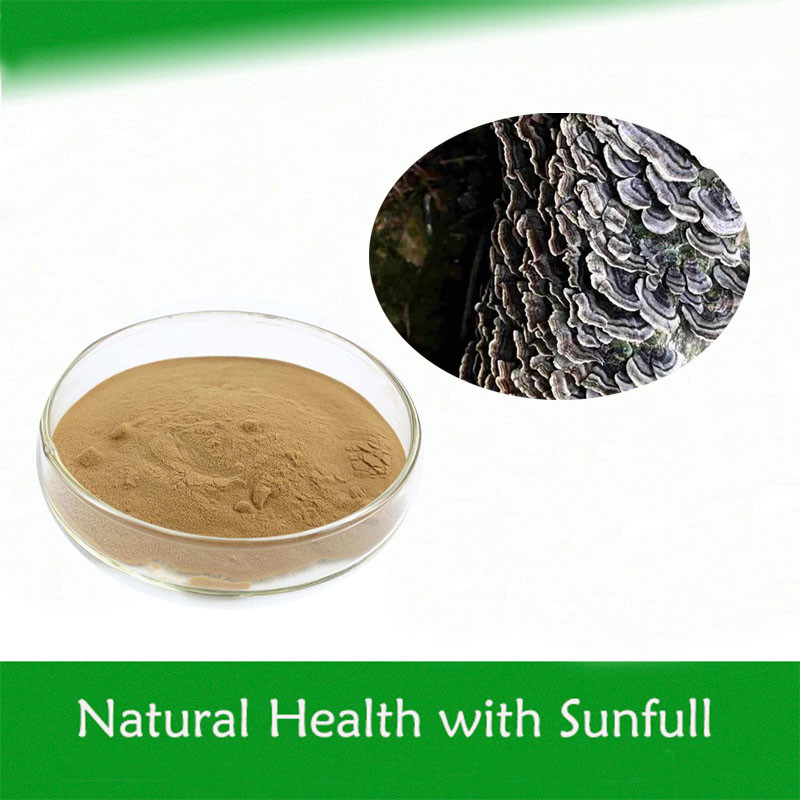 Coriolus Versicolor Extract 10%~50% Polysacchrides PSK PSP टर्की पूंछ मशरूम एक्सट्रैक्ट