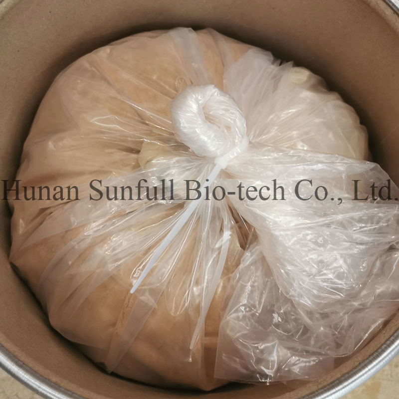 गिनको बिलोबा पत्ता निकालने 24/6 CAS 90045-36-6 Cp USP561 Ep EC396