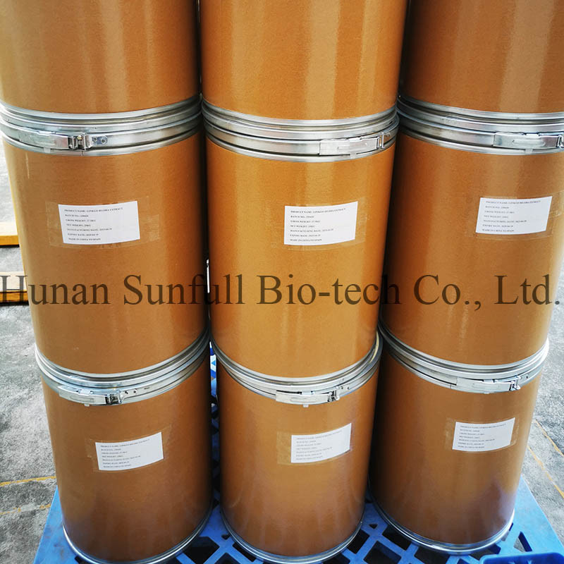 गिनको बिलोबा पत्ता निकालने 24/6 CAS 90045-36-6 Cp USP561 Ep EC396