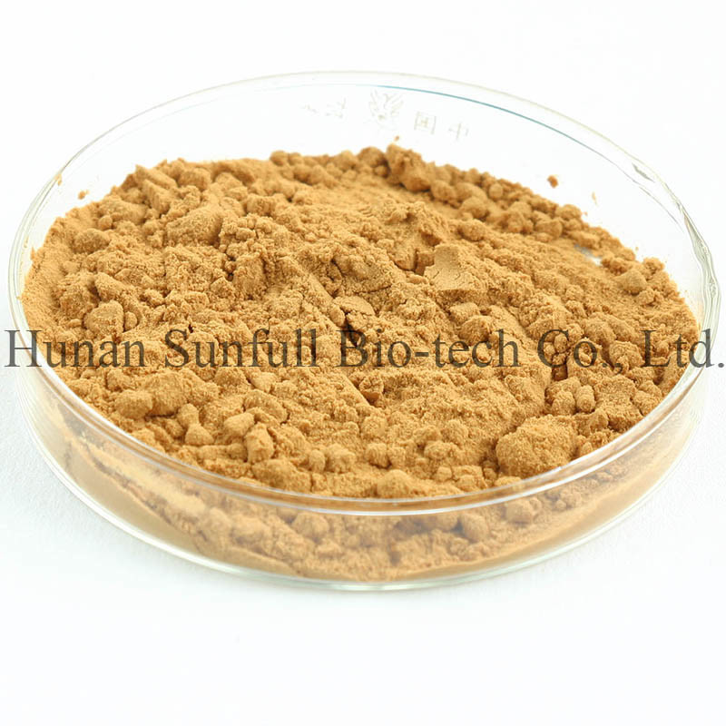 गिनको बिलोबा पत्ता निकालने 24/6 CAS 90045-36-6 Cp USP561 Ep EC396