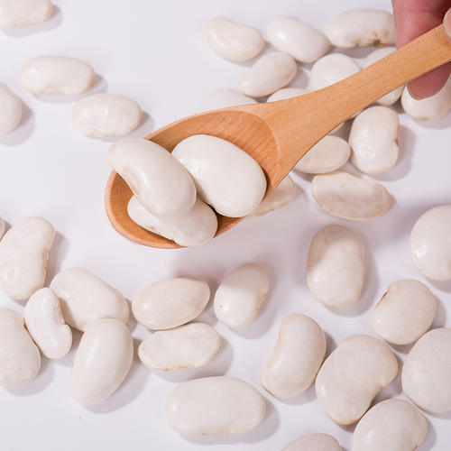 प्रीमियम व्हाइट किडनी बीन एक्सट्रैक्ट (फेजियोलस वल्गेरिस) - वजन और रक्त शर्करा प्रबंधन के लिए उच्च शुद्धता α-एमाइलेज अवरोधक