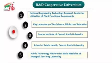 प्राकृतिक कॉप्रिनस कॉमैटस अर्क पाउडर 50% पॉलीसाकेराइड्स 80 मेष आकार और 2 वर्ष जीवनकाल के साथ