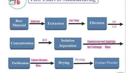 एंटी-अस्थमाटिक फंक्शनल फूड के लिए 10% पॉलीसेकेराइड्स के साथ कॉर्डिसेप्स साइनेन्सिस एक्सट्रैक्ट पाउडर, महीन भूरा पीला पाउडर में