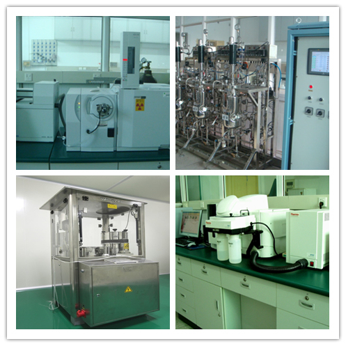 मोर्चेला एस्कुलेंटा एक्सट्रैक्ट पाउडर 100% थ्रू 80 मेश के साथ, 2 साल की शेल्फ लाइफ और 20 टन/वर्ष उत्पादन क्षमता