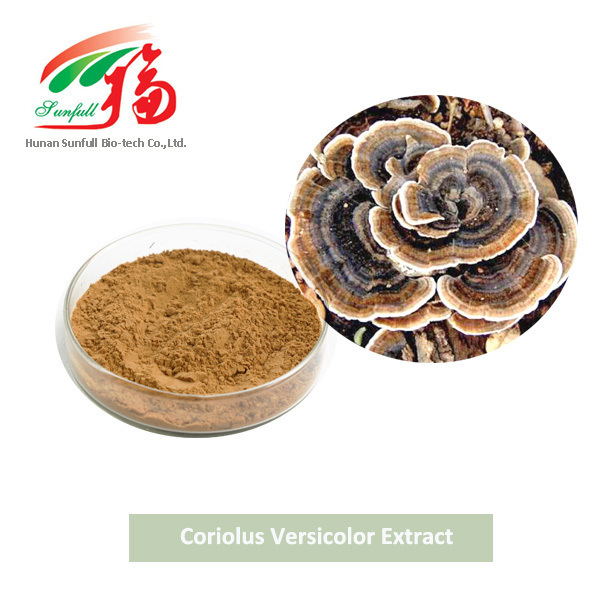 Coriolus Versicolor mushroom Extract 30% Polysaccharides