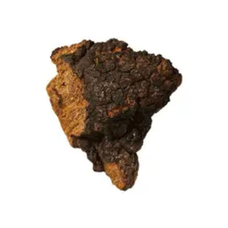 चागा अर्क 30% पॉलीसेकेराइड्स कार्यात्मक खाद्य और स्वास्थ्य देखभाल उत्पादों के लिए महीन भूरा पीला पाउडर