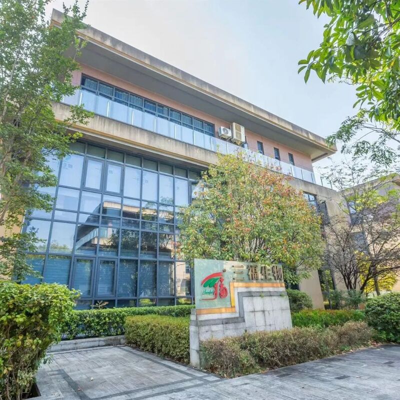 चागा अर्क 30% पॉलीसेकेराइड्स कार्यात्मक खाद्य और स्वास्थ्य देखभाल उत्पादों के लिए महीन भूरा पीला पाउडर