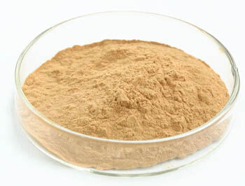 ऑयस्टर मशरूम एक्सट्रैक्ट पाउडर 40% पॉलीसाकेराइड्स के साथ फंक्शनल फूड में ट्यूमर विरोधी और रक्त शर्करा विनियमन के लिए