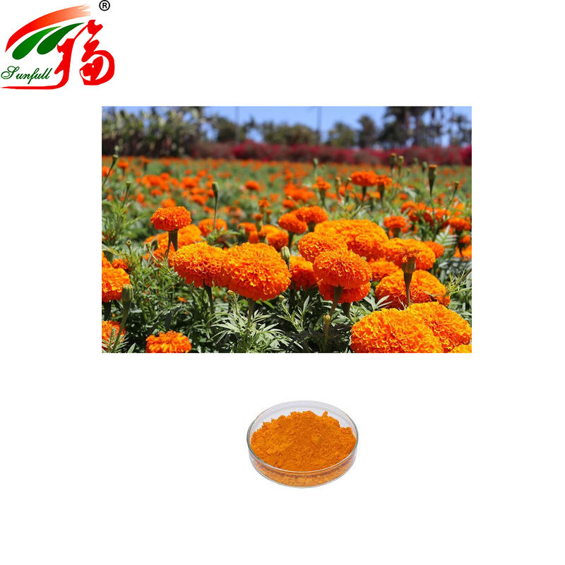 Factory Direct Sales Marigold Extract 5%~10%,90% Lutein by HPLC for beverages