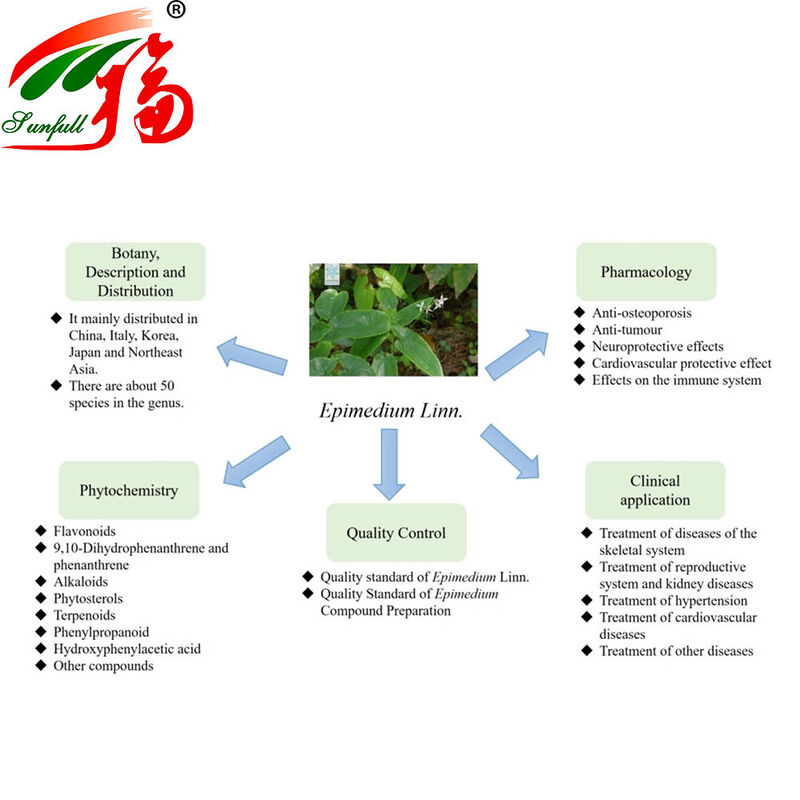 फैक्ट्री डायरेक्ट 100% प्राकृतिक एपिमेडियम एक्सट्रैक्ट 30% इकारिंस सेक्स-एनहांसर और स्वास्थ्य सप्लीमेंट्स के लिए