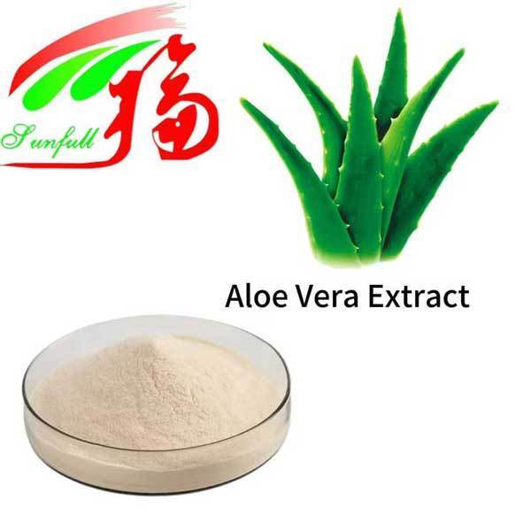 Aloe Vera Extract Gel Freeze Dried Powder Bulk Pure Natural Aloe Vera Gel Spray Dried Powder Aloverose Aloin a+B Absorbancy