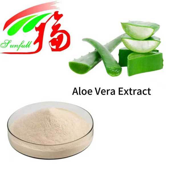 Aloe Vera Extract Gel Freeze Dried Powder Bulk Pure Natural Aloe Vera Gel Spray Dried Powder Aloverose Aloin a+B Absorbancy