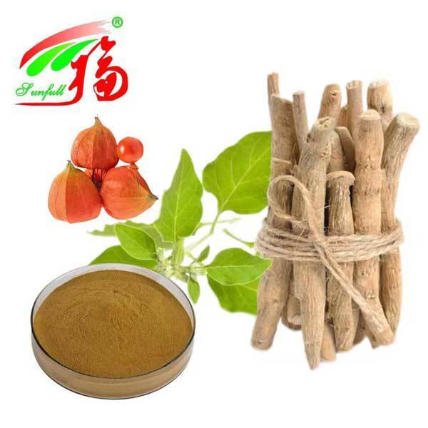 Withania Somnifera दक्षिण अफ्रीका Withanolides 5% Ashwagandha Root Extract खाद्य स्वास्थ्य देखभाल उत्पाद