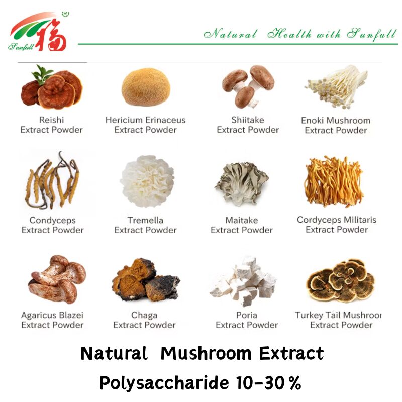 प्राकृतिक कार्बनिक सामग्री आहार की खुराक पॉलीसेकेराइड 10-30% Phellinus Igniarius/Ganoderma Lucidum/Chaga/Maitake/Shiitake मशरूम निकालने का पाउडर