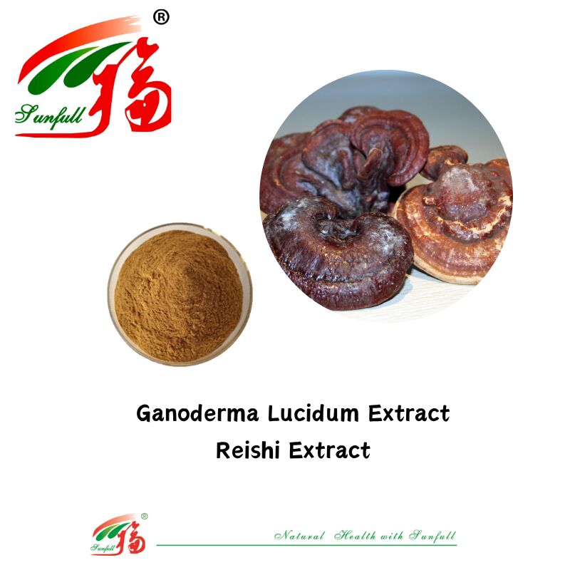 प्राकृतिक कार्बनिक सामग्री आहार की खुराक पॉलीसेकेराइड 10-30% Phellinus Igniarius/Ganoderma Lucidum/Chaga/Maitake/Shiitake मशरूम निकालने का पाउडर