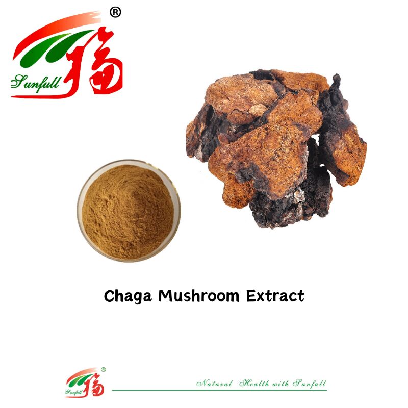 प्राकृतिक कार्बनिक सामग्री आहार की खुराक पॉलीसेकेराइड 10-30% Phellinus Igniarius/Ganoderma Lucidum/Chaga/Maitake/Shiitake मशरूम निकालने का पाउडर
