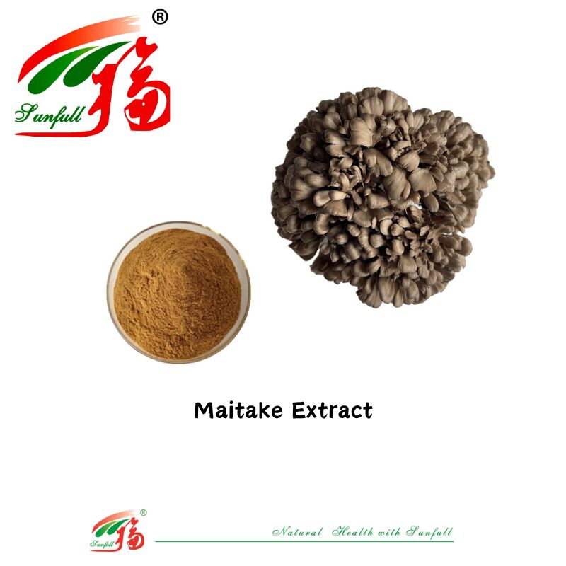 प्राकृतिक कार्बनिक सामग्री आहार की खुराक पॉलीसेकेराइड 10-30% Phellinus Igniarius/Ganoderma Lucidum/Chaga/Maitake/Shiitake मशरूम निकालने का पाउडर