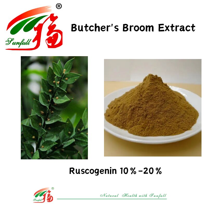 उच्च गुणवत्ता वाली फैक्टरी कीमत Ruscus Aculeatus रूट एक्सट्रैक्ट 10%-20% Ruscogenin Butcher's Broom Extract