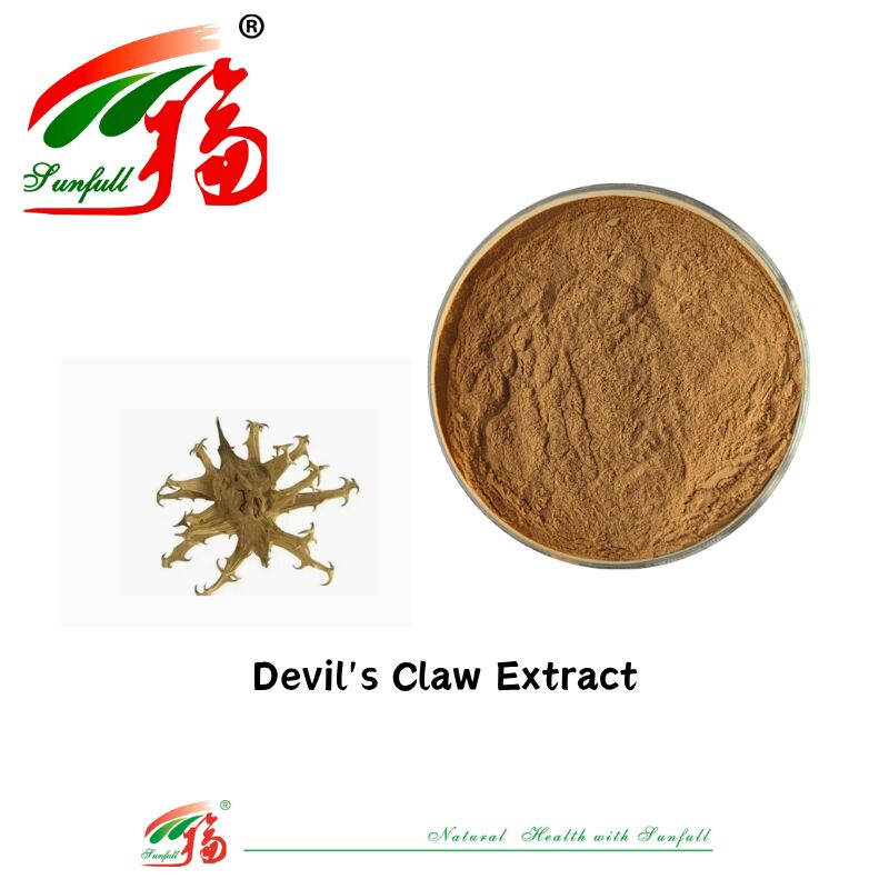 प्राकृतिक शुद्ध CAS 19210-12-9 Harpagophytum Procumbens पाउडर 5% Harpagoside Devils Claw Extract
