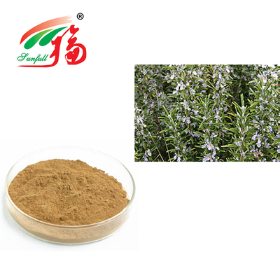 एंटी एजिंग Rosmarinus Officinalis के लिए मेंहदी निकालने 30% Rosmarinic एसिड