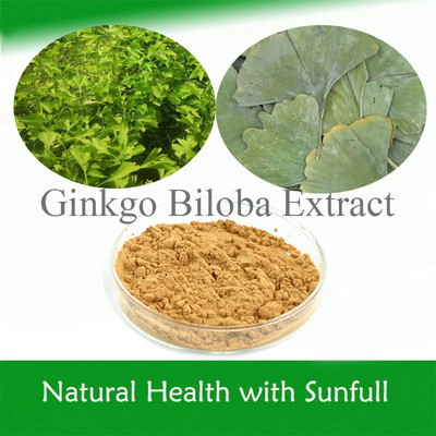 गिनको बिलोबा पत्ता निकालने 24/6 CAS 90045-36-6 Cp USP561 Ep EC396