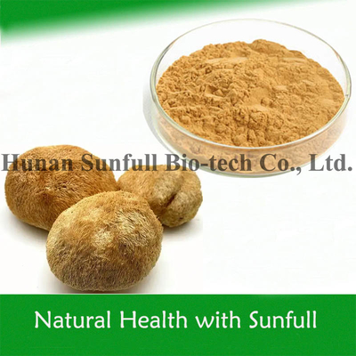 प्राकृतिक खाद्य योज्य वानर का सिर मशरूम शेर का सिर Extract 10% 30% Polysaccharides