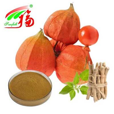 Withania Somnifera दक्षिण अफ्रीका Withanolides 5% Ashwagandha Root Extract खाद्य स्वास्थ्य देखभाल उत्पाद