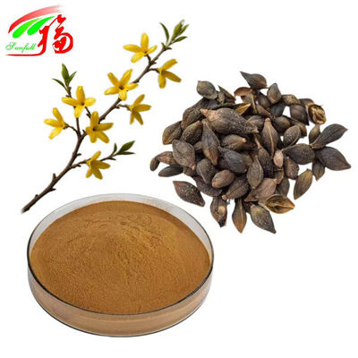 फोर्सिथिया अर्क पाउडर फिलिरिन फोर्सिथिया सस्पेंसा अर्क