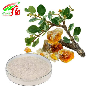फोर्सिथिया अर्क पाउडर फिलिरिन फोर्सिथिया सस्पेंसा अर्क